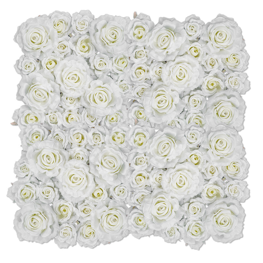 Rose Mat 20