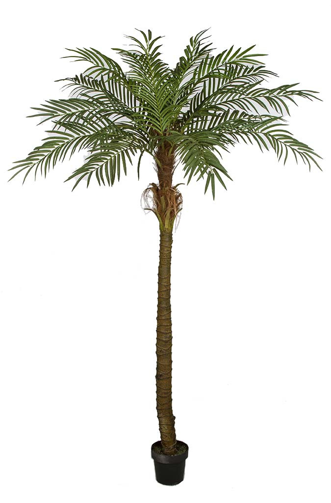 7' Artificial Phoenix Palm Tree | Phoneix Palm Trees | Autograph