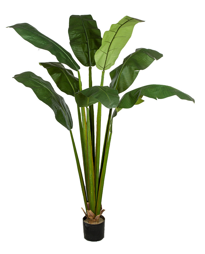7' Bird of Paradise Plant | Artificial Bird of Paradise | Autograph Foliages