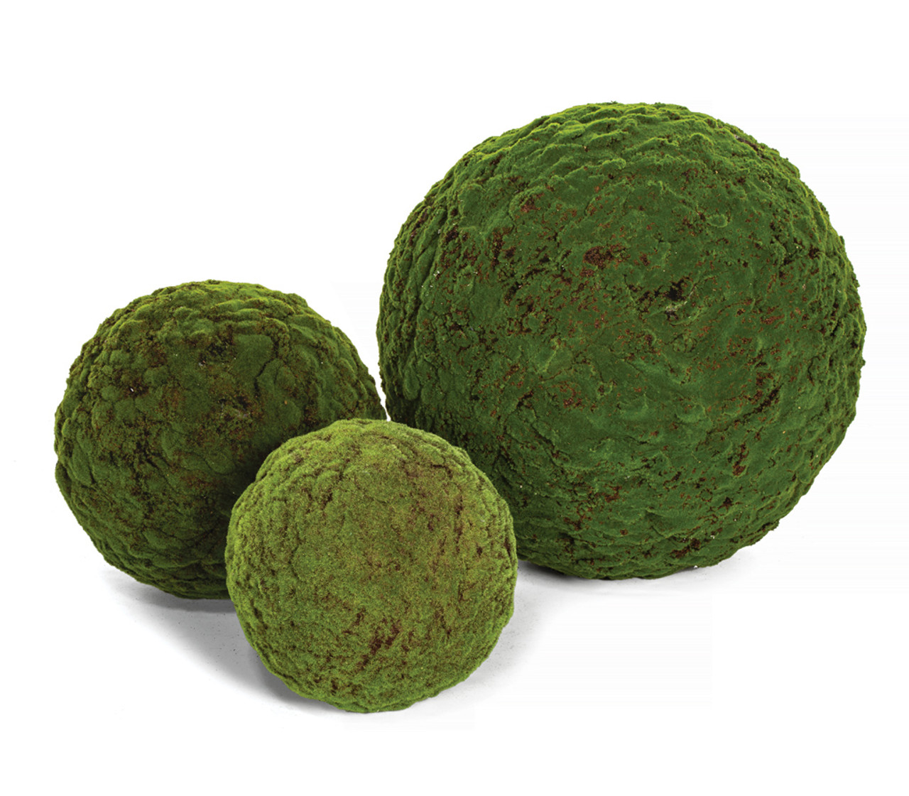 Decorative Moss Balls, Moss Balls for Sale