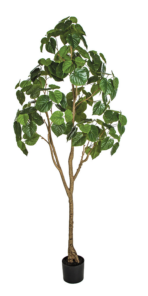 7' Natural Touch Ficus Tree | Single Trunk Artificial Trees