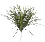 GRASSES - THE MOST USED PRODUCT FOR EXTERIOR REALISM