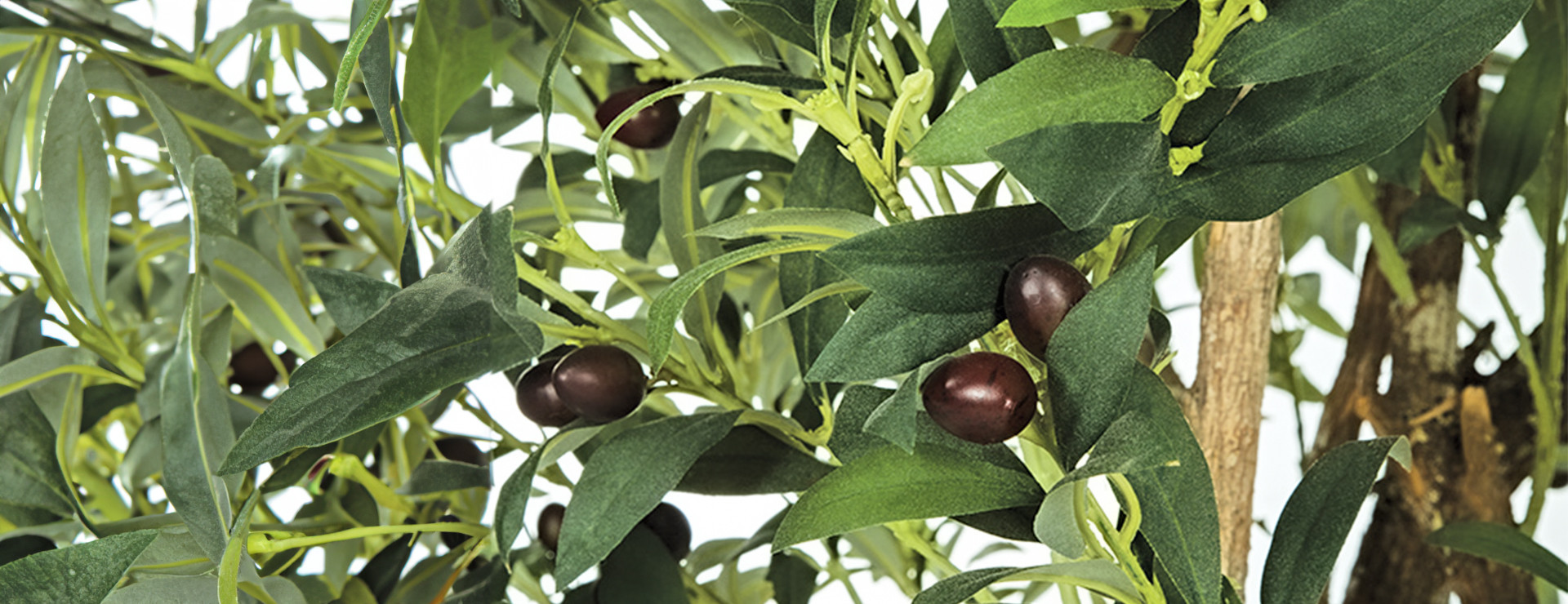 Autograph Foliages Commercial Grade Wholesale Artificial Foliage