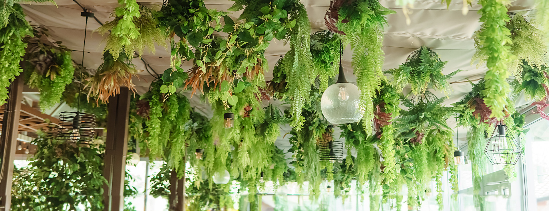 Autograph Foliages Commercial Grade Wholesale Artificial Foliage