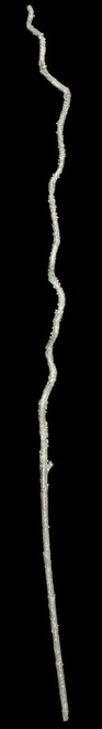 A-121405
45" Glittered Willow Stick - Silver