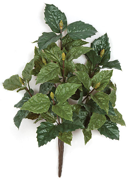 19" Polyblend Hibiscus Bush No Flowers
