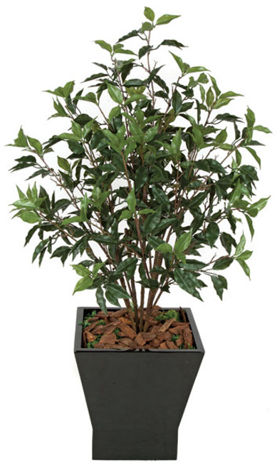 48" Polyblend Ficus Bush with 5 stems. Decorative Pot Sold Separately.