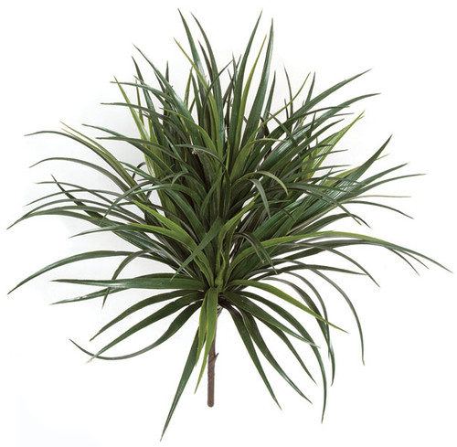 A-1804
28" Polyblend Liriope Bush x4
