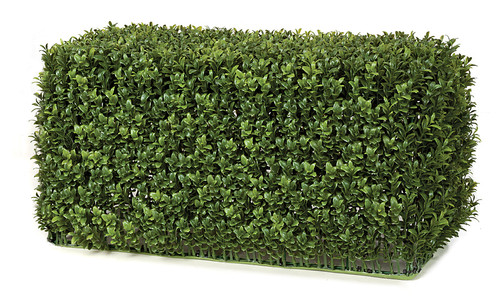 23" x 11" x 12" English Boxwood Hedge 
Tutone Green