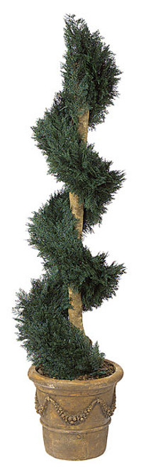 6 Foot Juniper Spiral Natural Trunk
Decorative Pot Sold Separately