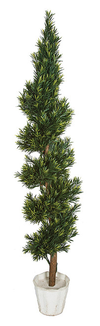 6 Foot Podocarpus Spiral Natural Trunk Spray
Decorative Pot Sold Separately