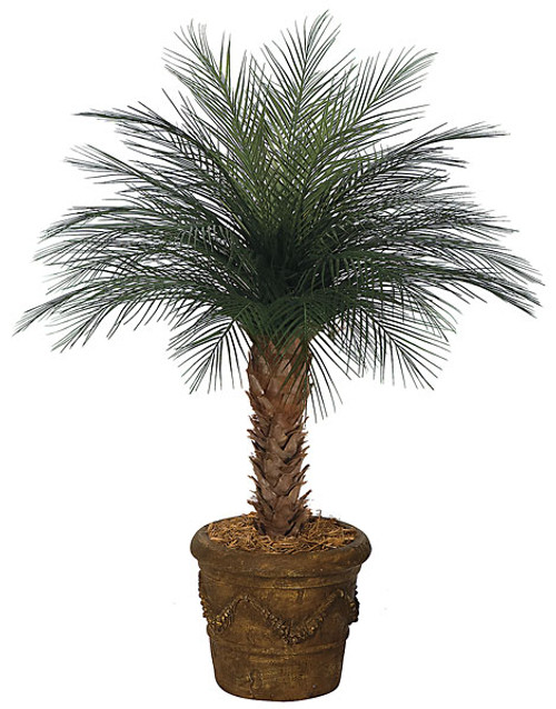 4' Areca Palm Tree x 33 Fronds
Outdoor UV Trunk
Decorative Pot Sold Separately