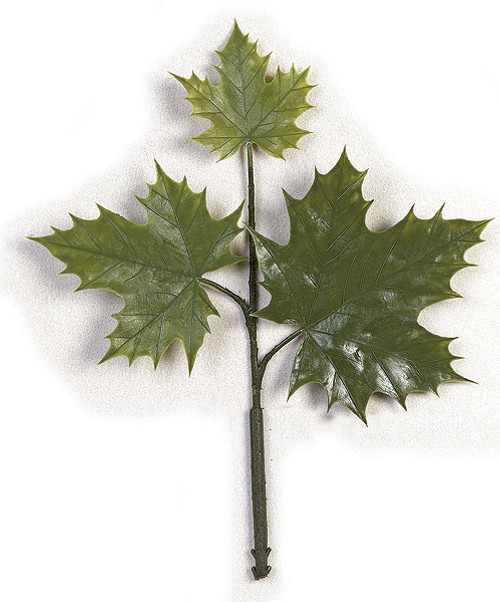 15" Sugar Maple Pick 
3 Leaves
Green