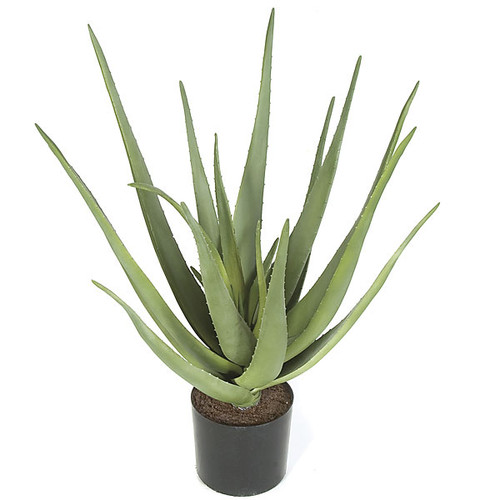 AR-102000
22" Plastic Aloe Plant 
19" Width