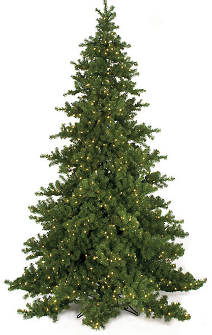 C-9754 - Fluff Free 
9' Nikko Fir Tree with LED Lights