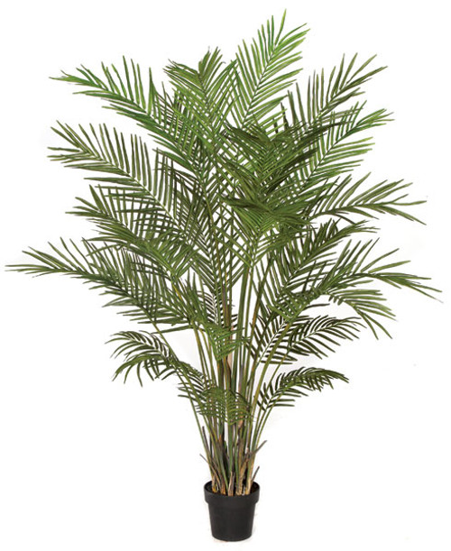 P-141620 6' Areca Palm Tree with 30 Fronds - Weighted Base