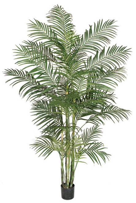 P-100935 8' Areca Palm Tree with Synethic Canes