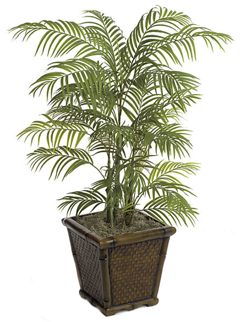 P-63170
4' Areca Palm Tree with Synthetic Canes
Decorative Planter Sold Separately