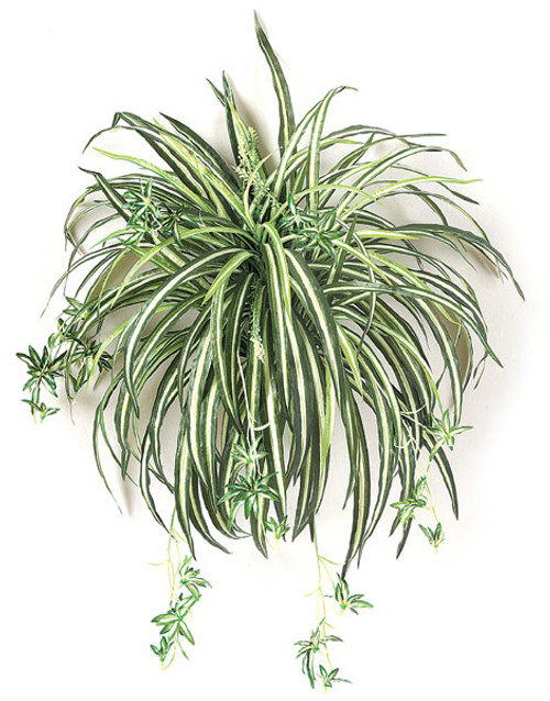 P-1280
24" Spider Plant
Green/White