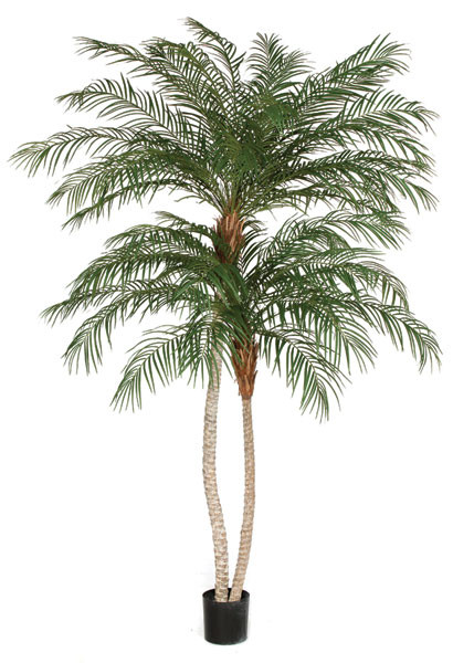 12.5 Foot Lighted Palm Tree with Dark Trunk | Autograph Foliages
