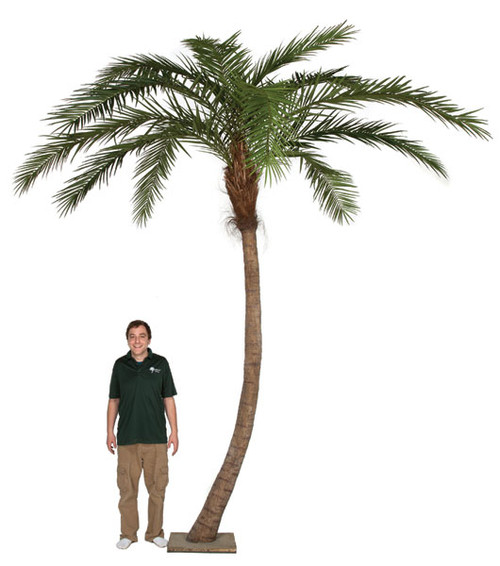 P-127120 - 14 Feet Overall Height Artificial Phoenix Palm Tree with Metal Base