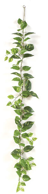 P-3540
6' Pothos Garland