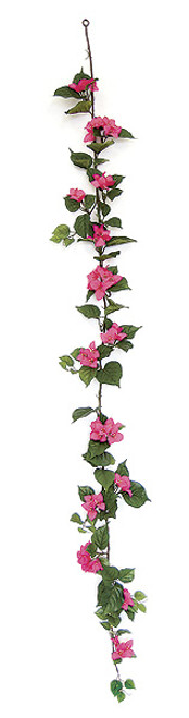 P-7560 Fuchsia/Beauty
6'  Bougainvillea