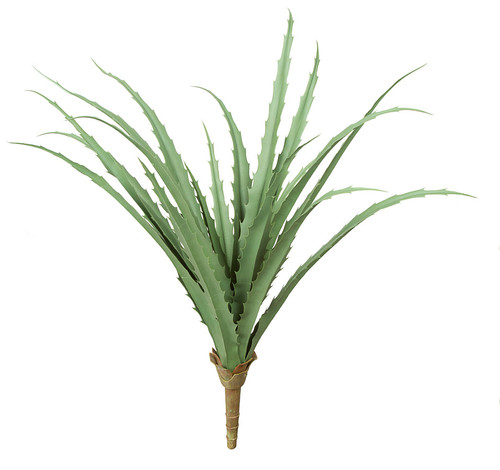 A-164353
25" Polyblend Agave Plant