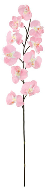 39 Inch IFR Butterfly Orchids - Pink, Orchid Purple, or White