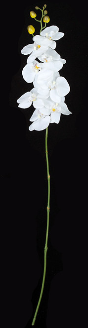 P-160400
42" Phalaenopsis Orchid
White