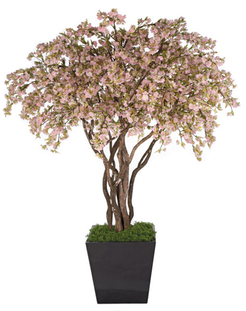 6.5 Foot Cherry Blossom Tree - Pink or Cream/White