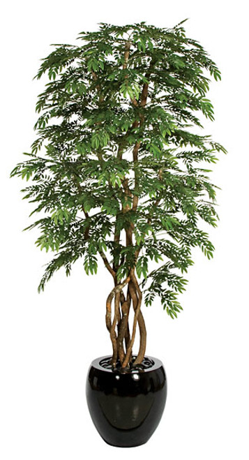 W-70408
8' Locust Tree
Decorative Pot Sold Separately