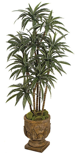 W-2750
6' Dracaena Warneckii
Synthetic Trunks
Decorative Pot Sold Separately