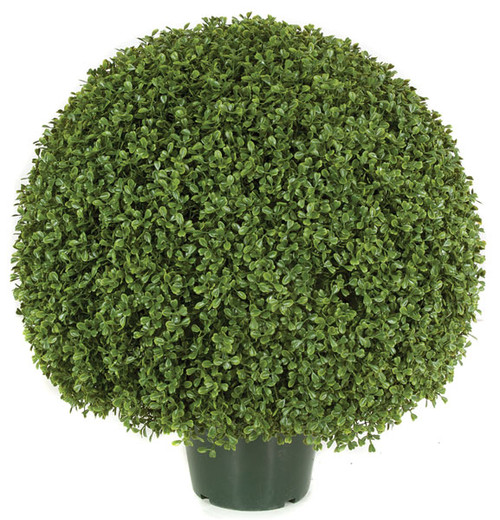 Boxwood Greenery Balls