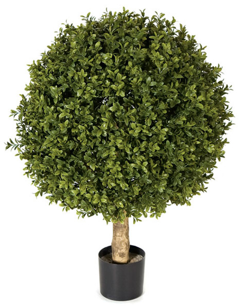 AUV-102610
24" Boxwood Ball Topiary
Limited UV Resistance