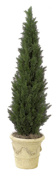 5 Foot Pe Mini Cedar Trees Autograph Foliages