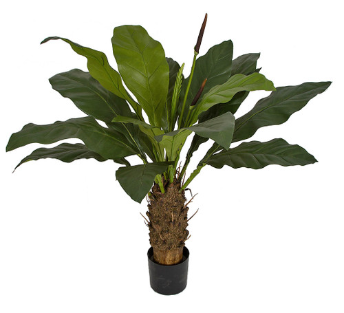 51" Anthurium Plant 
Weighted Base