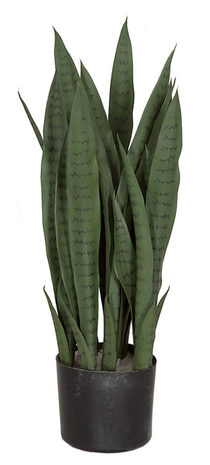 Wholesale 39