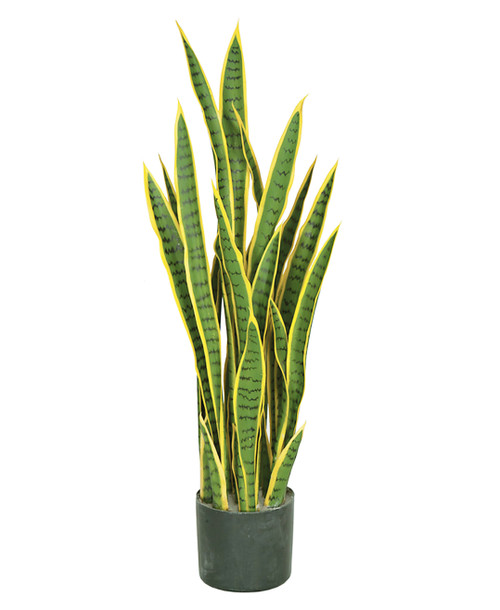 AR-162190
39" IFR Sansevieria Plant
Green/Yellow