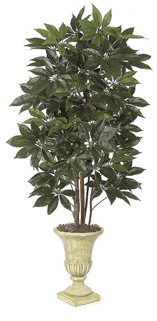 W-2400
8' Schefflera Tree
Decorative Pot Sold Separately