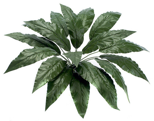 PR-141
24" Spathiphyllum Plant