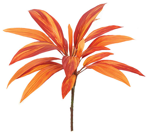 P-140125
25" Cordyline Bush
Orange/Red Color