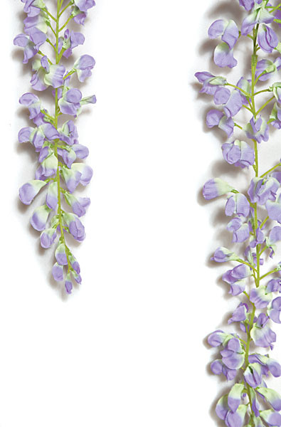 72 Inch IFR Wisteria Branch - Purple or White (sold by piece