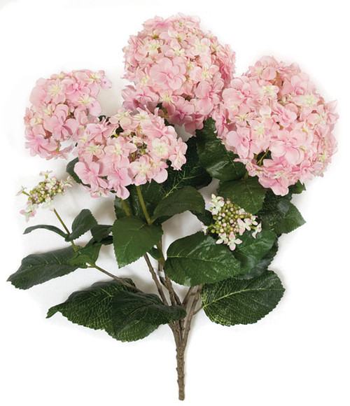 PR-111710 - Fire Retardant
24" Hydrangea Bush
Pink