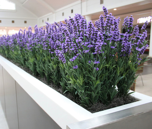 24 Inch Lavender Bush in Lavender/Light Purple