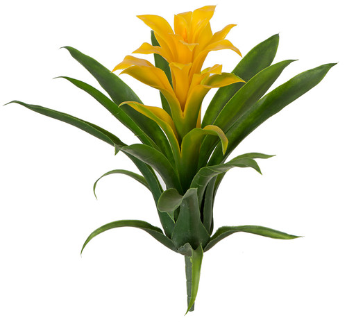 A-160280 - Yellow
Guzmania Plant