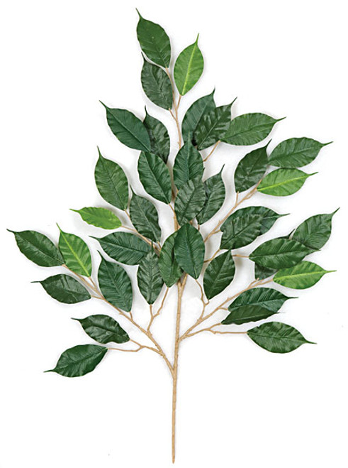 PR-001 - Fire Retardant
25.5" Ficus Branch
Green
