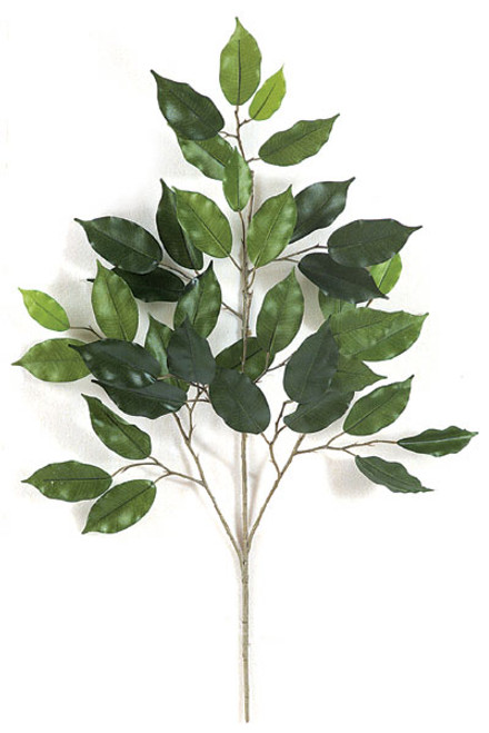 P-2220 
25" Ficus Branch
Green