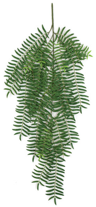 P-150020
43" Mountain Fern Branch