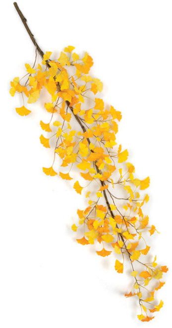 P-130415
Yellow/Orange Ginkgo Branch